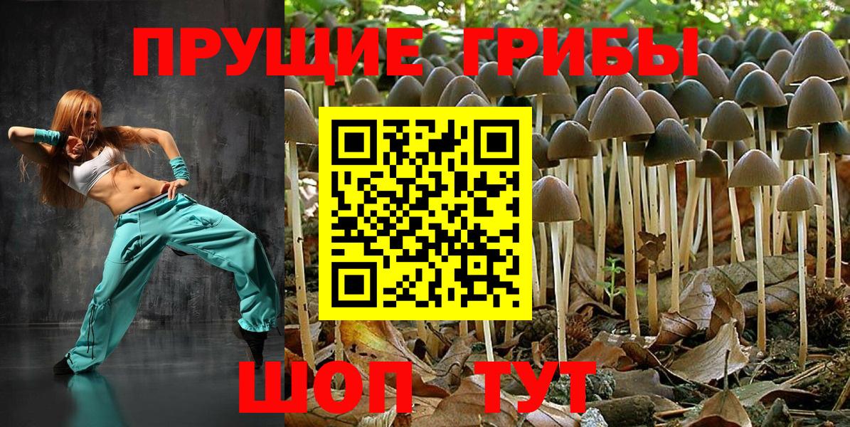 Галлюциногенные грибы Cubensis  Вход с VPN  Тверь 