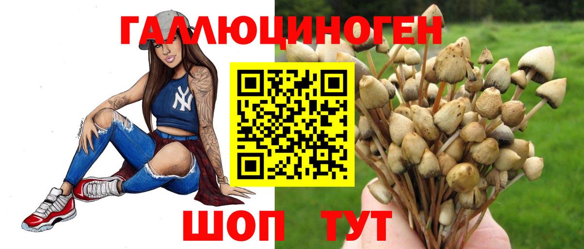 Псилоцибиновые грибы MAGIC MUSHROOMS Тверь